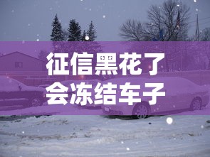 征信黑花了会冻结车子吗？真实情况你可能想不到