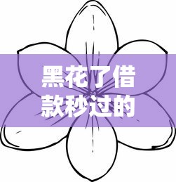 黑花了借款秒过的口子有哪些？实测这几个平台审核快、额度高