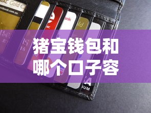 猪宝钱包和哪个口子容易下款？5个真实用户推荐的贷款平台