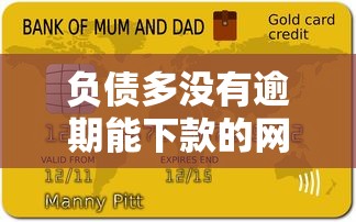 负债多没有逾期能下款的网贷平台有哪些？试试这几个渠道