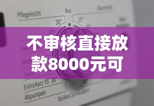 不审核直接放款8000元可以吗？真实情况大揭秘！