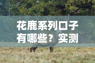 花鹿系列口子有哪些？实测10个真实下款渠道分析