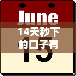14天秒下的口子有哪些？这几个平台审核快、到账稳！