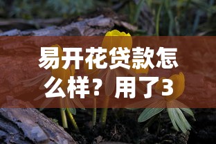 易开花贷款怎么样？用了3个月才发现这些细节要注意