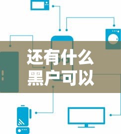 2025年时光分期征信花好下款吗，分享五个17岁平台可以借钱