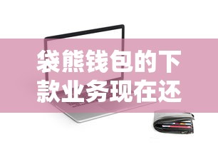 袋熊钱包的下款业务现在还在运行吗？用户真实反馈来了