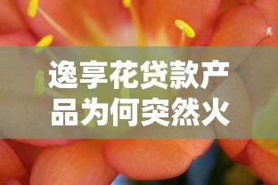 逸享花贷款产品为何突然火了？灵活低息引关注