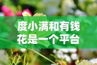 度小满和有钱花是一个平台吗？5个关键点帮你搞懂