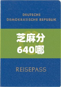 芝麻分640哪些平台适合企业借款？实测这5家门槛低放款快