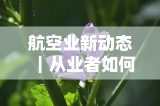 航空业新动态｜从业者如何选到低息贷款？这3个技巧太实用了！