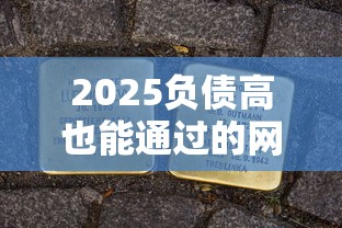 2025负债高也能通过的网贷：实测3个低门槛平台+避坑技巧