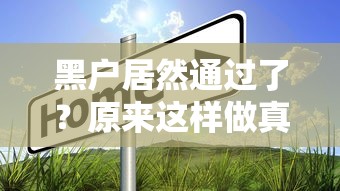 黑户居然通过了？原来这样做真的可以下款！