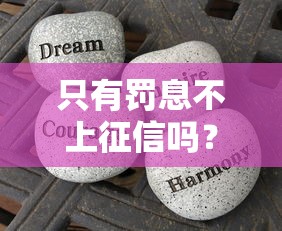 只有罚息不上征信吗？搞清这些规则才能保住信用分
