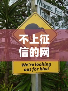 不上征信的网贷款吗？这5个平台或许能帮你救急