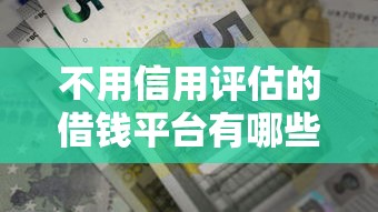 不用信用评估的借钱平台有哪些？这几家靠谱渠道帮你解决资金难题
