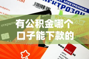 有公积金哪个口子能下款的？这些平台审核快额度高