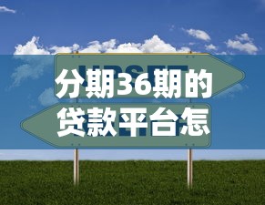 分期36期的贷款平台怎么选？5家实测靠谱平台横向对比