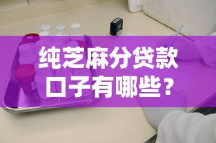 纯芝麻分贷款口子有哪些？实测5个靠谱平台