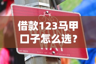 借款123马甲口子怎么选？这几个技巧帮你避开坑