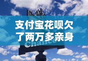 支付宝花呗欠了两万多亲身经历，这些方法让我轻松上岸
