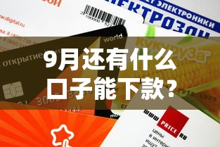 9月还有什么口子能下款？这5个靠谱平台审核快、额度高