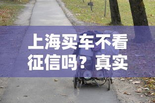 上海买车不看征信吗？真实情况让人意外！