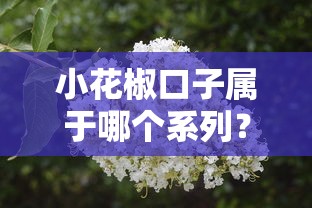 小花椒口子属于哪个系列？实测后发现这几点必须知道
