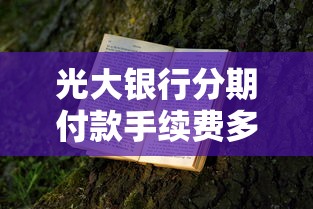 光大银行分期付款手续费多少？一文算清账单压力