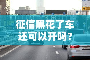 征信黑花了车还可以开吗？这几种方法或许能帮你解决难题