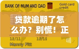 贷款逾期了怎么办？别慌！正确处理方式+补救技巧全解析