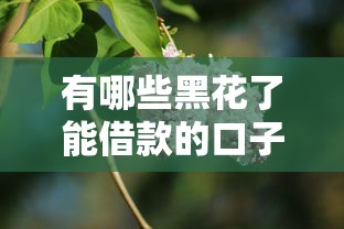 有哪些黑花了能借款的口子？这几个方法值得试试