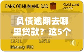 2025年类似借呗的平台？推荐五个高能分期贷款软件新秀