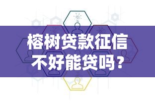 榕树贷款征信不好能贷吗？安全审核流程全解析