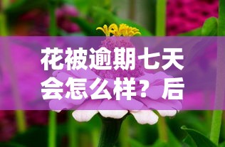 花被逾期七天会怎么样？后果严重吗？这几点必须了解