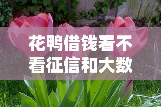 花鸭借钱看不看征信和大数据？用户实测：这3点审核细节最关键