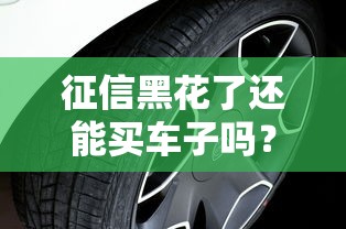 征信黑花了还能买车子吗？老司机教你3招搞定贷款难题