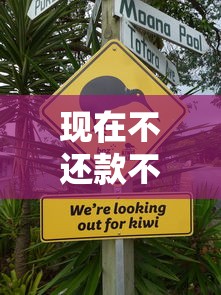 现在不还款不上征信怎么办？这5个隐藏风险必须警惕