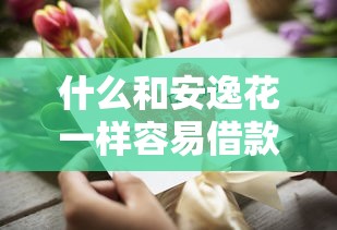 什么和安逸花一样容易借款？这5个平台审核快、门槛低，资质一般也能下款！