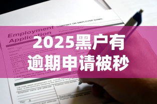 2025黑户有逾期申请被秒拒还能下款的口子真实评测