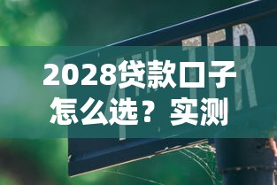 2028贷款口子怎么选？实测5大平台避坑指南