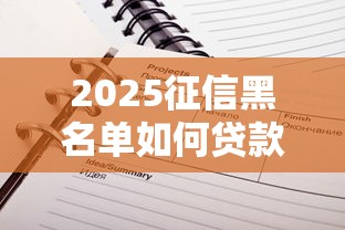 2025征信黑名单如何贷款？过来人亲测这几个方法还能用！
