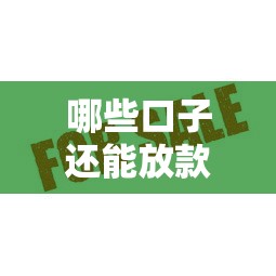 哪些口子还能放款？实测这几个平台审核快、额度高