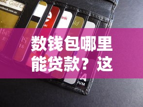 数钱包哪里能贷款？这5个口子亲测有效！
