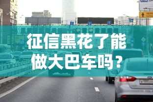 征信黑花了能做大巴车吗？真实情况与解决方案