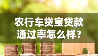 农行车贷宝贷款通过率怎么样？真实数据+避坑经验分享