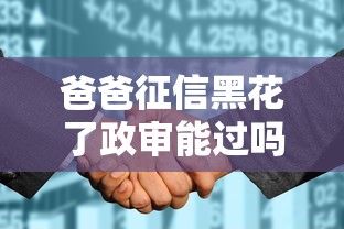 爸爸征信黑花了政审能过吗？3种补救方案实测