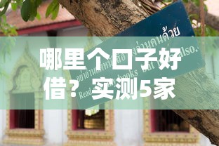 哪里个口子好借？实测5家正规平台避坑指南