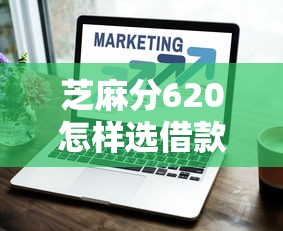 芝麻分620怎样选借款期限？3个技巧省下30%利息