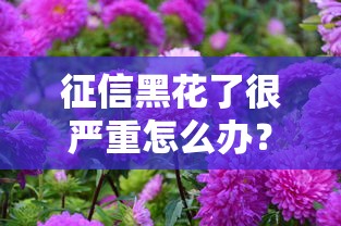 征信黑花了很严重怎么办？过来人分享3个补救技巧