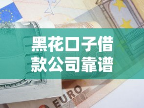 黑花口子借款公司靠谱吗？揭秘真实借款体验与避坑技巧